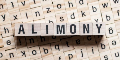 the word of ALIMONY on building blocks